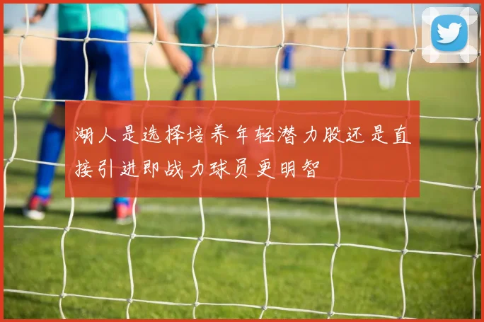 湖人是选择培养年轻潜力股还是直接引进即战力球员更明智