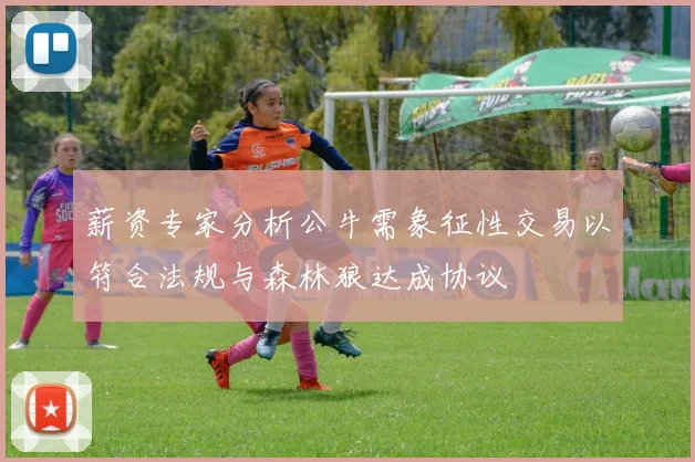 薪资专家分析公牛需象征性交易以符合法规与森林狼达成协议